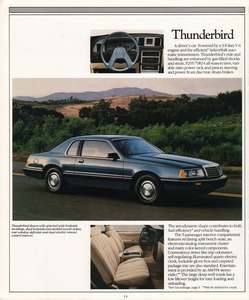 1985 Ford Thunderbird-14.jpg